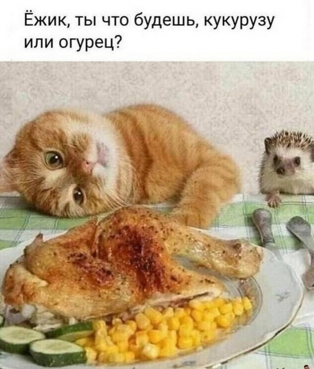 Маленькая пятница