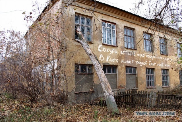 Скоро осень...