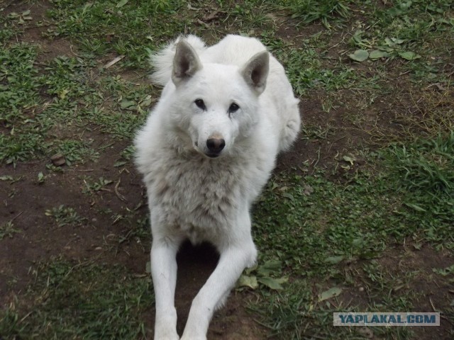 Одна поездка на озеро