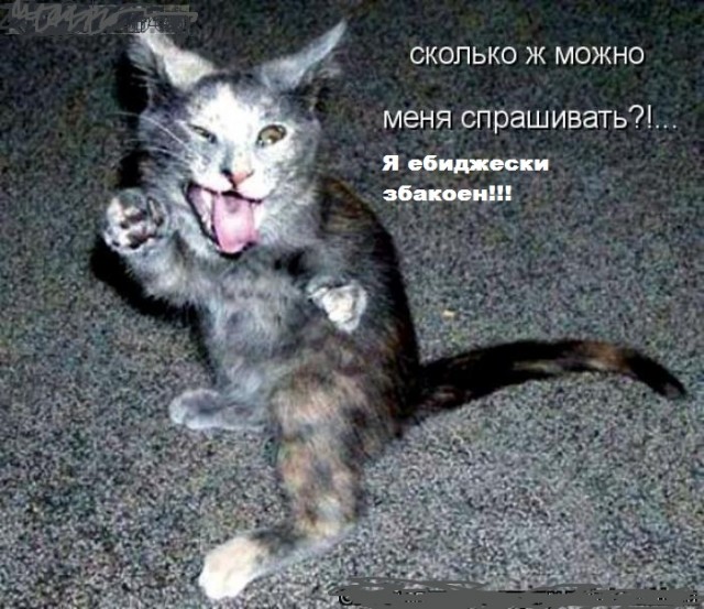 Узбагойся