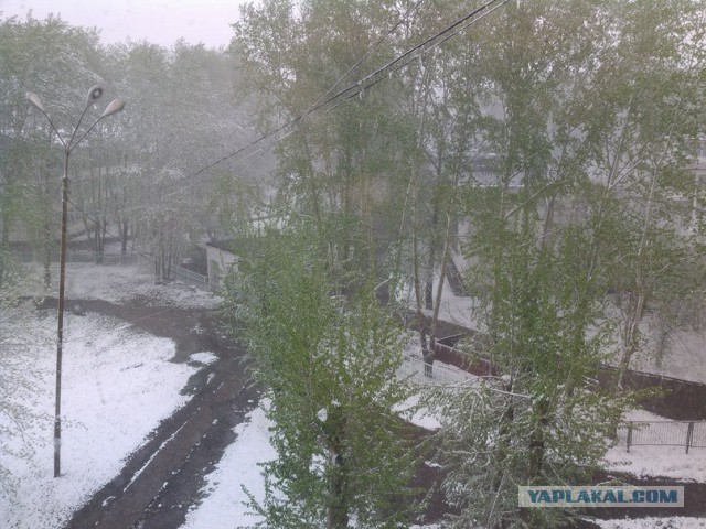 У нас снег пошёл.