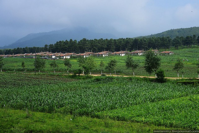 КНДР приоткрыла экспортные ворота для РФ