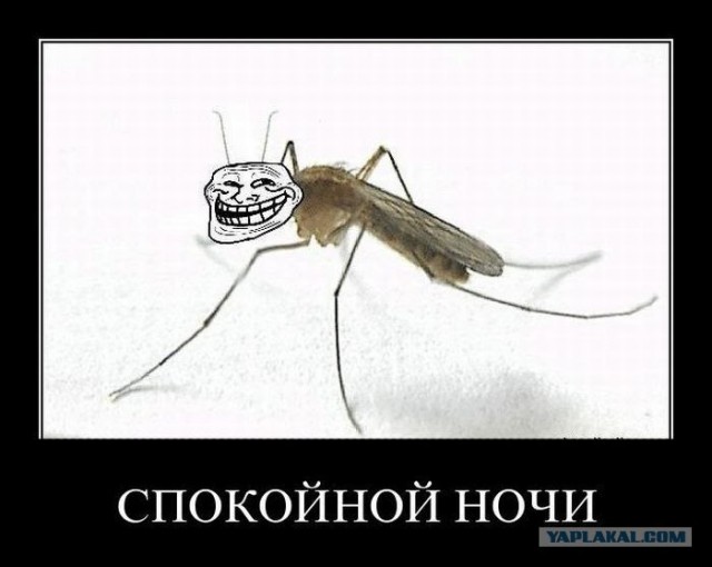Камары блеать!