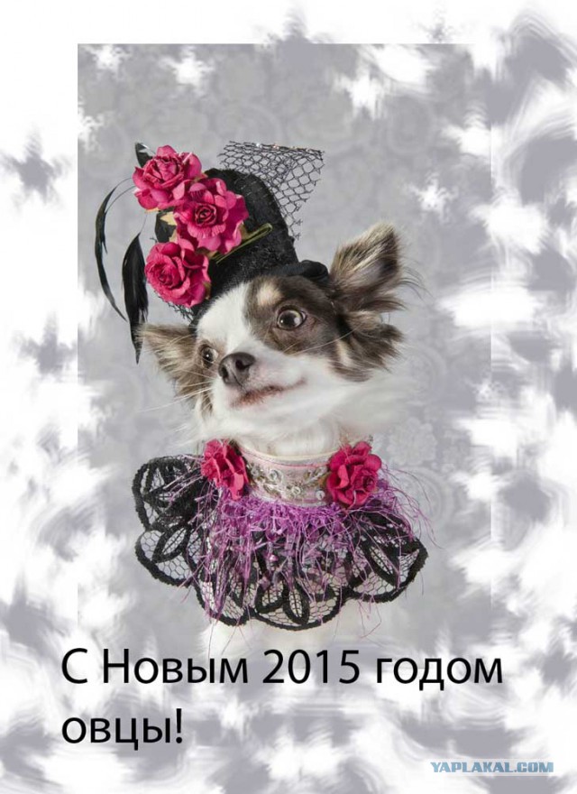 Я рисую