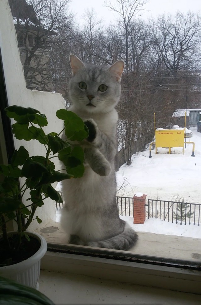 Саня?