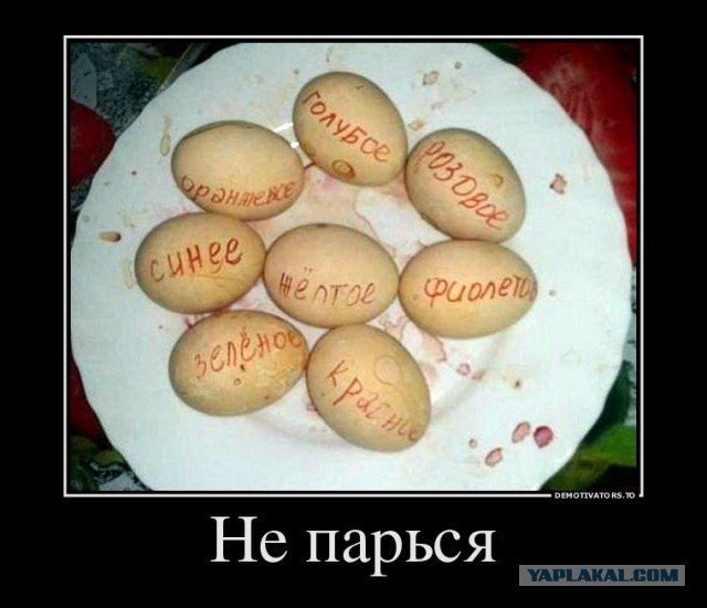 Круче только яйца