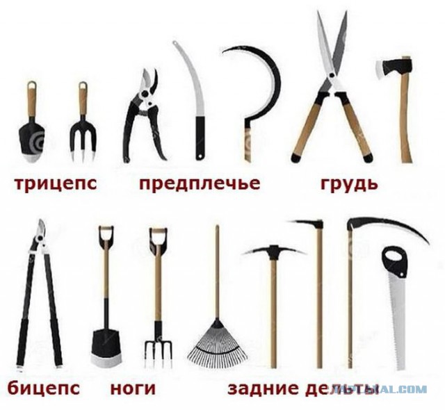 Всяко-разно