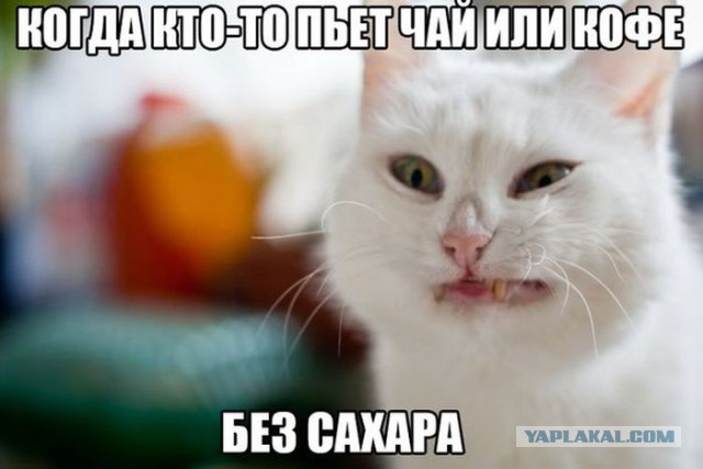Подборка прикольных картинок из сети на 10 июля