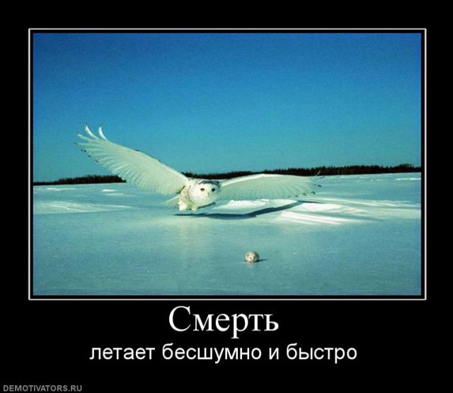 Вы хотите "демов"?