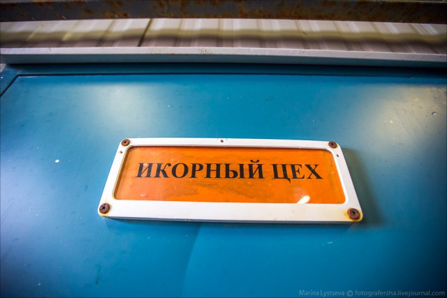 Как делают икру