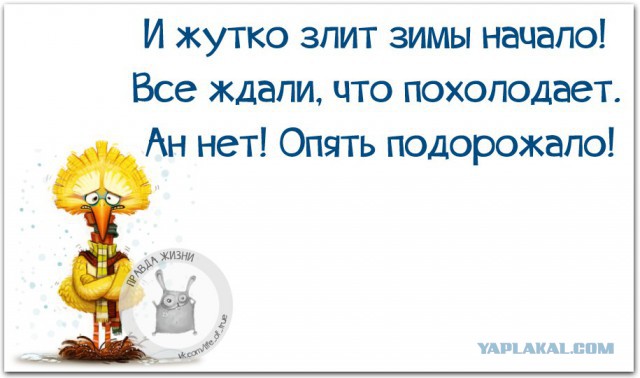 Смешные комментарии на 10.12.2015
