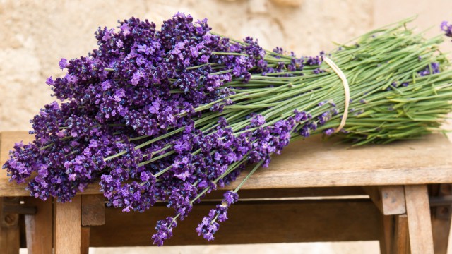 Славянская Душа