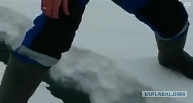 Рыбаки и льдина