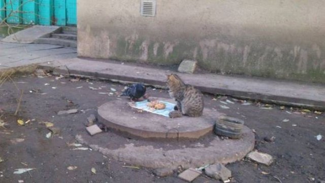 Картинки, интересные и веселые