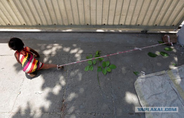 Главные фотографии года по версии Reuters