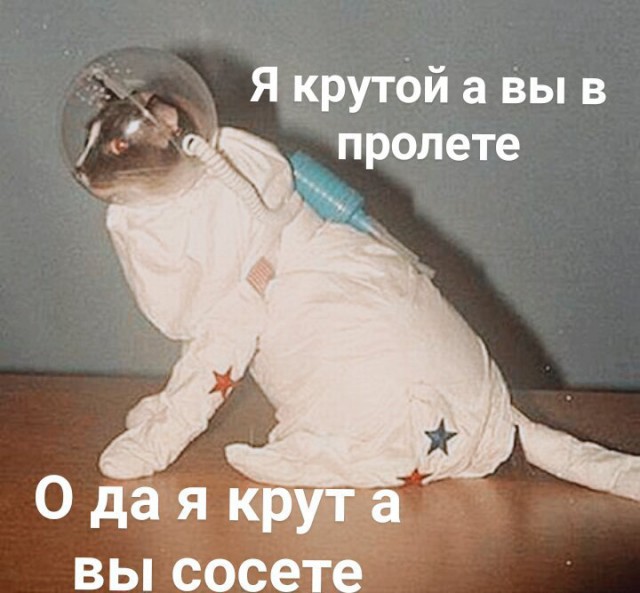 Деградация на ЯПе