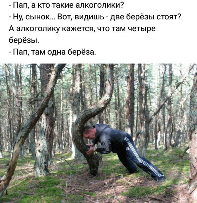 Смешные комментарии из социальных сетей 26.05.2017