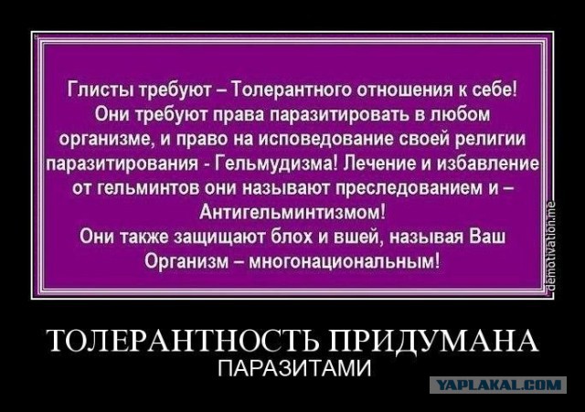 Главная заповедь толерантности