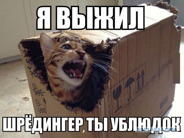 Итоги проверки пользователей