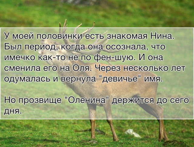 Специфический юмор
