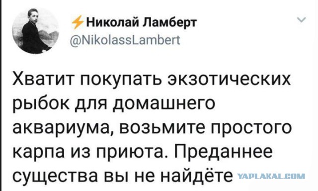 Очередные соцсети
