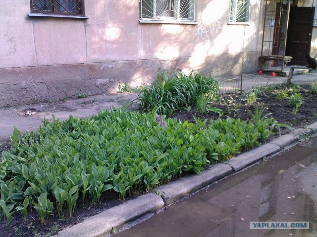 Котовторник объявляется открытым!