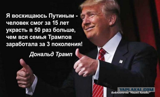 Ученая и инвестор. Как старшая дочь Путина делает первые шаги в бизнесе