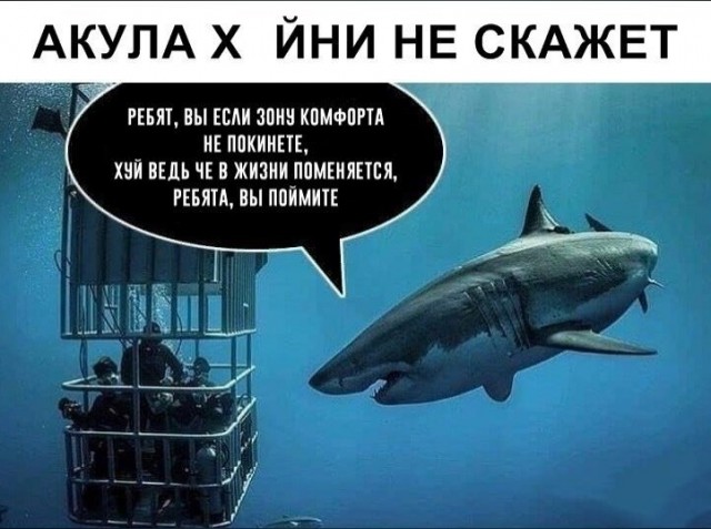 Свинегрет: картинки, надписи и прочее 03.02.20