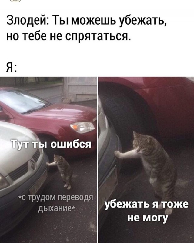 Немного картинок для настроения