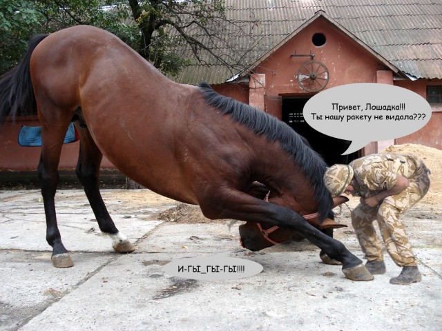 Фотожаба: Залп