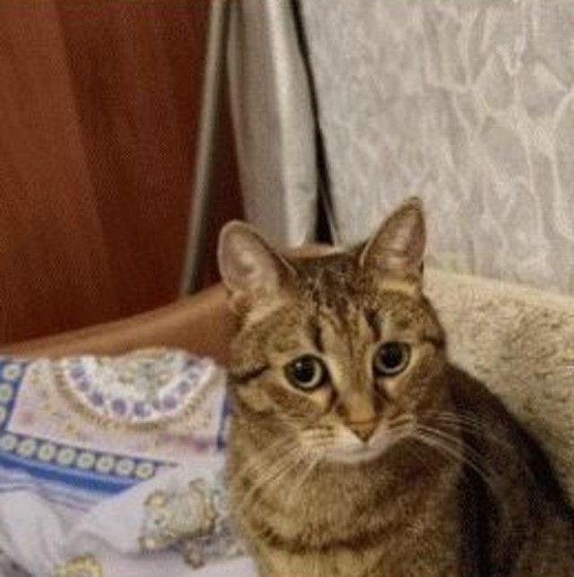 У меня такие же