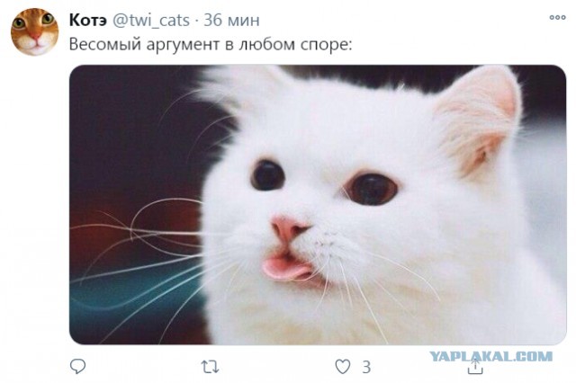 Бредзона 29.11.20