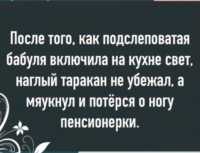 Превратил квартиру в рай для тараканов