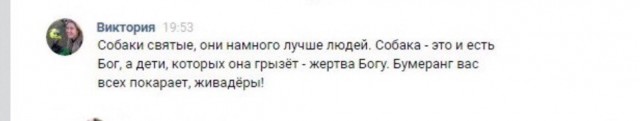 В Улан-Удэ собаки напали на ребенка