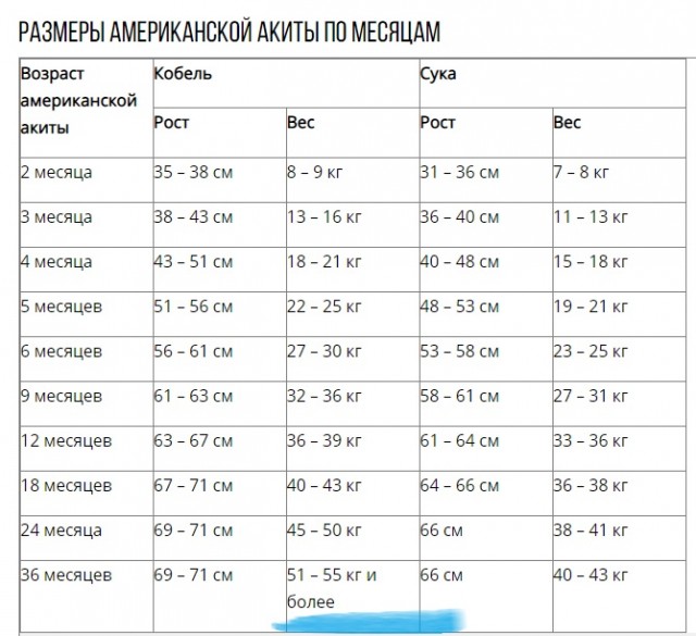 Аривидерчи, любимая! Грустная блондинка в чужом аэропорту