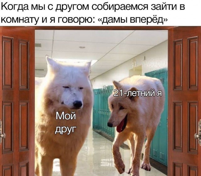 Так себе картинки 14.03.21