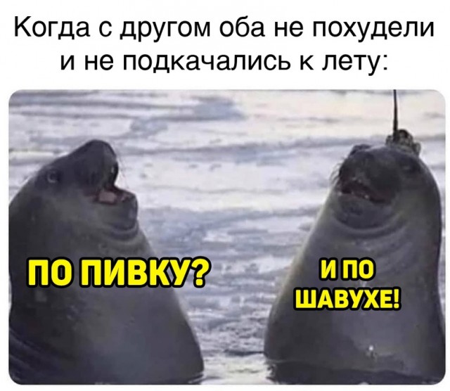 Весёлый полтишок 8.06.21