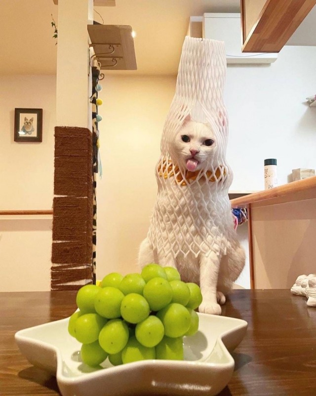 Картинки и мемы для настроения 28.07.2021