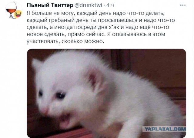 Весёлый полтишок 11.09