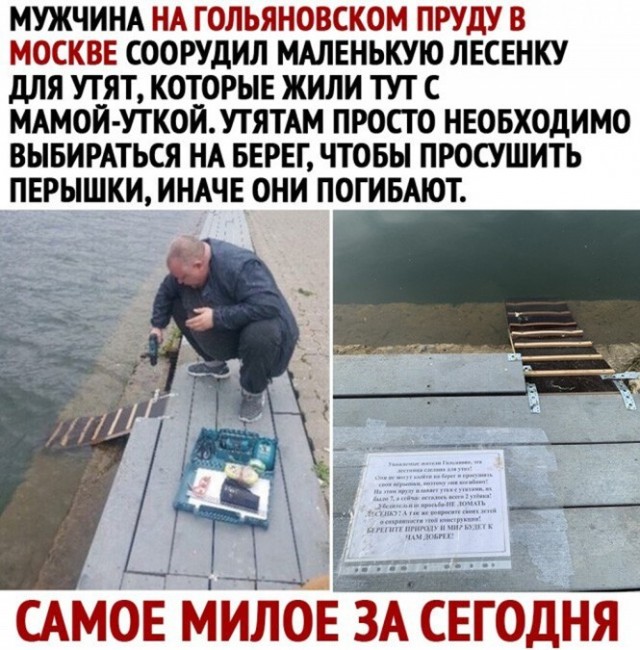 Баянисто-небаянистый юмор 10.10.21