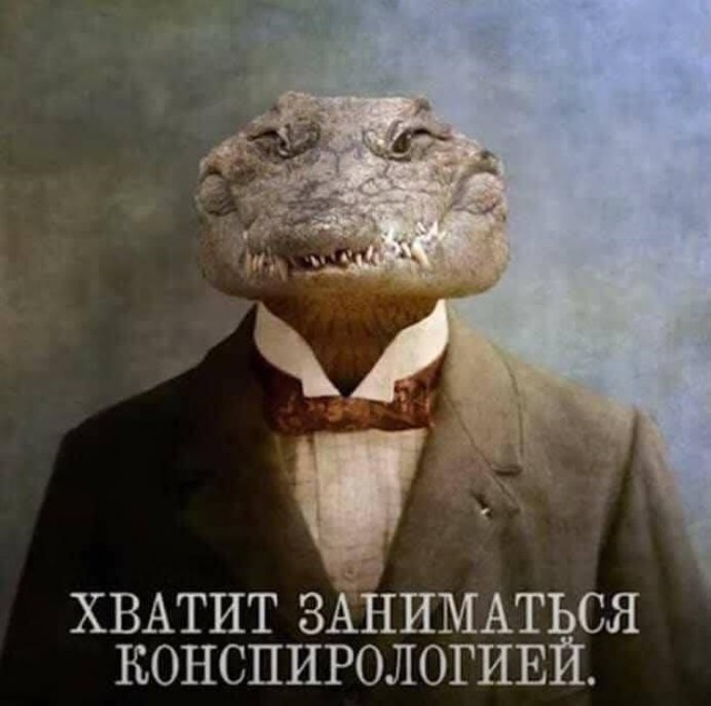 Всяческие картинки 15.11.2021