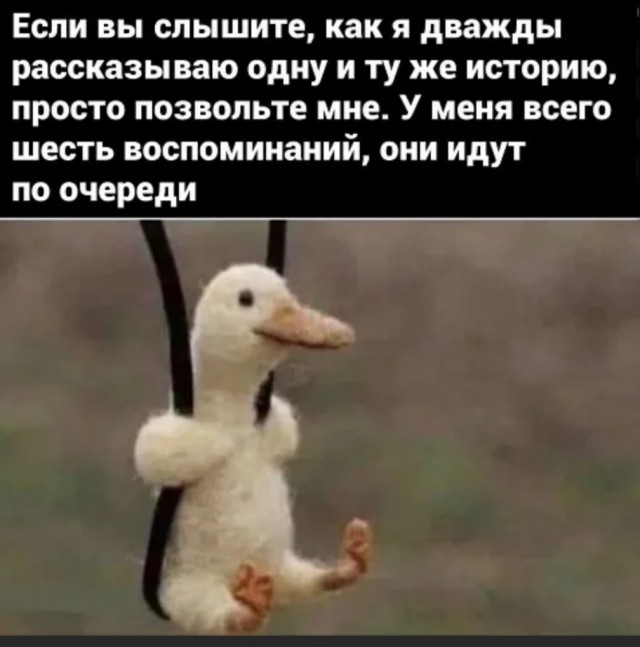 Бредзона 21.11.2021