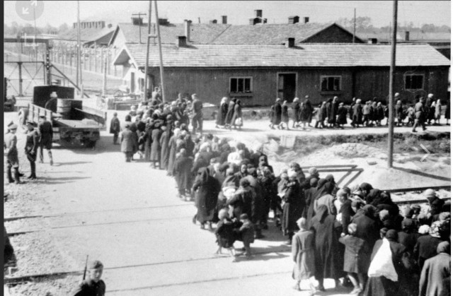 Пандемия. Коронавирус. Россия и мир. Часть 29