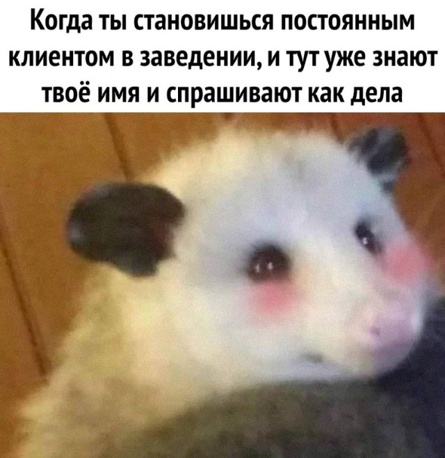 Картинки и мемы для настроения - 22