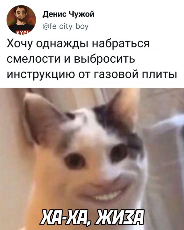 Весёлый полтишок 08.06.2022
