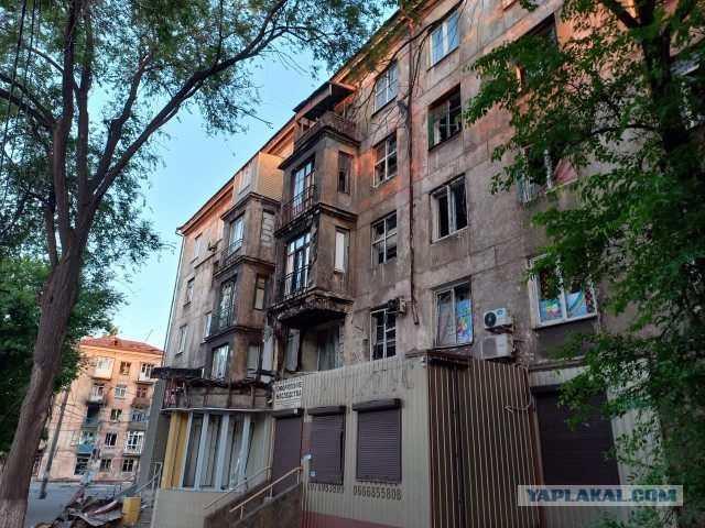 Пенсионерам московского и подмосковного МВД предлагают вернуться на службу
