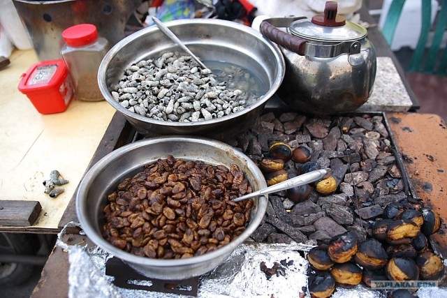 НЕтуристическая Корея