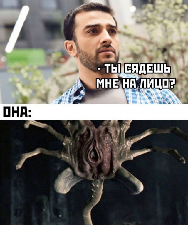 Пятница. И немного слегка пошлых картинок с надписями и без 16+ (12.08)