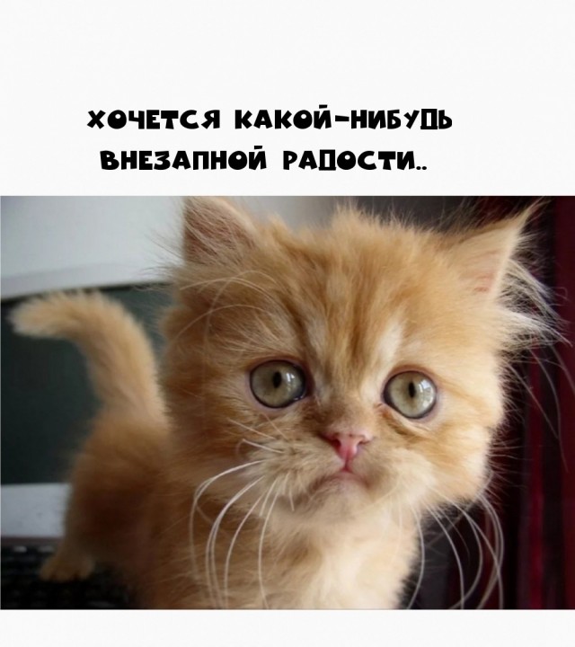 Картинки. Без темы