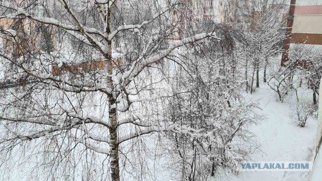 Каспер\Сиськи